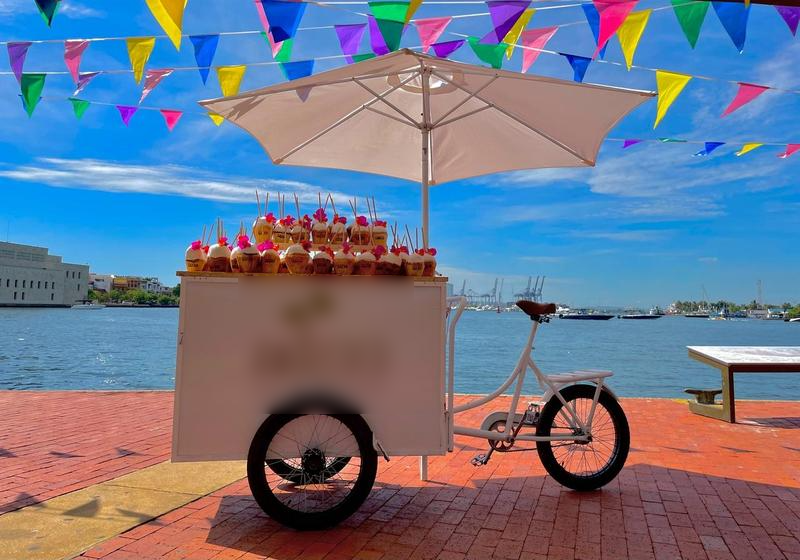 Fruit Drinks Business Investment Opportunity in Cartagena, Colombia
