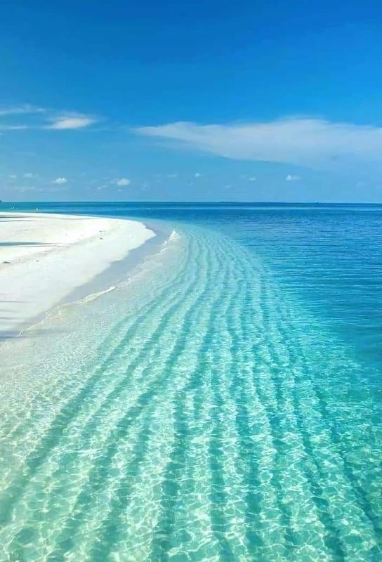 Profitable Guest House Investment Opportunity in Male, Maldives