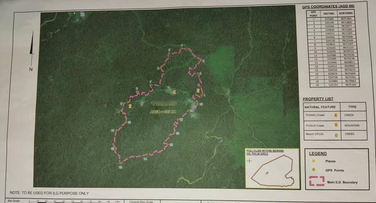Newly Established Tree Farm Seeking Loan in Vanimo, Papua New Guinea