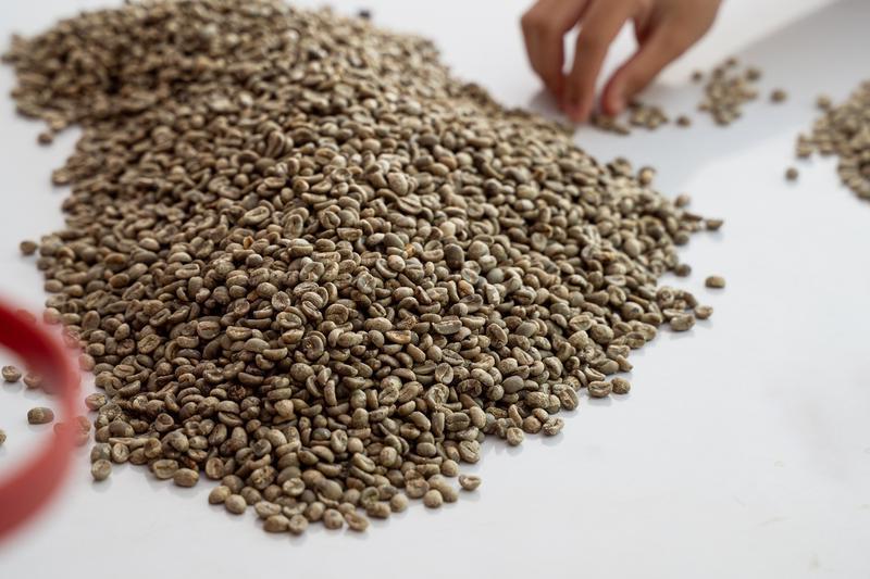 Profitable Coffee and Tea Business for Sale in Chiang Mai, Thailand