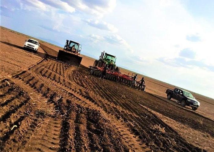 Sugarcane Farm Investment Opportunity in Addis Ababa, Ethiopia