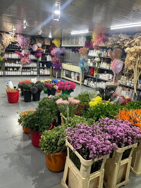 Florist Seeking Loan in Hawally, Kuwait