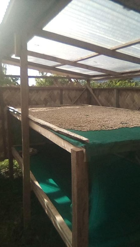 Coffee Estate Seeking Loan in Lae, Papua New Guinea