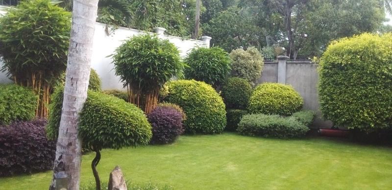Landscaping Business Investment Opportunity in Sri Jayawardenepura Kotte, Sri Lanka
