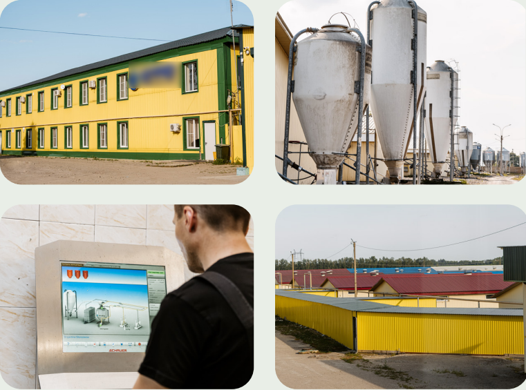 Animal Breeding Company for Sale in Storozhevoe, Russia
