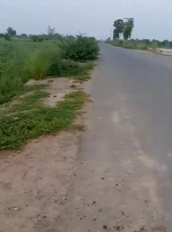 Commercial Land Assets for Sale in Faisalabad, Pakistan