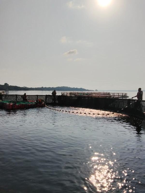 Aquaculture Company Investment Opportunity in Bulago, Uganda