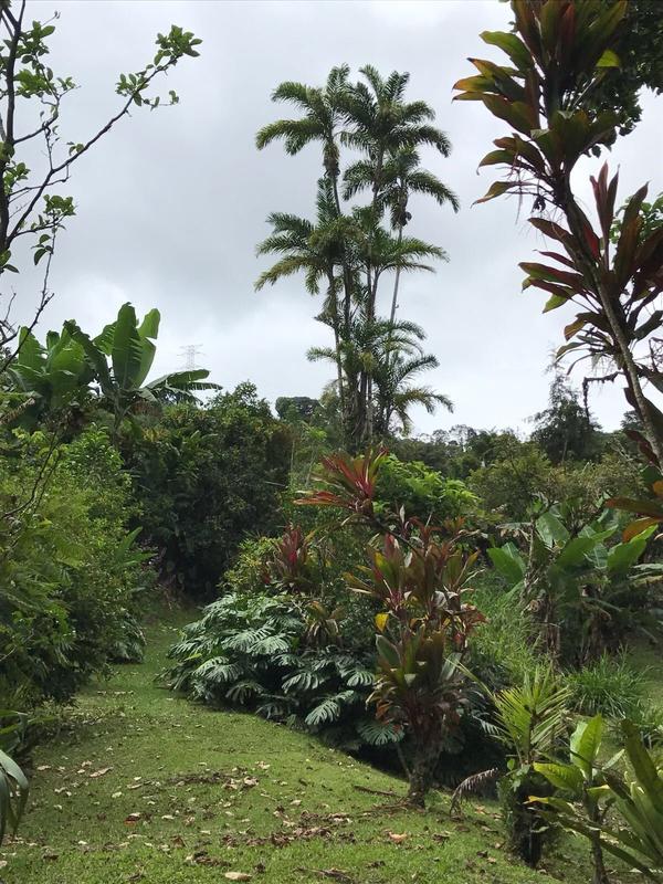Vegetable Farm for Sale in Cartago, Costa Rica