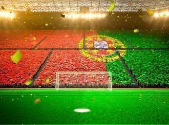 Profitable Sports Franchise for Sale in Lisbon, Portugal