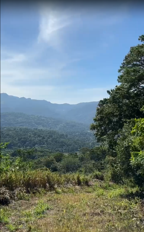 Commercial Land Assets for Sale in Kandy, Sri Lanka