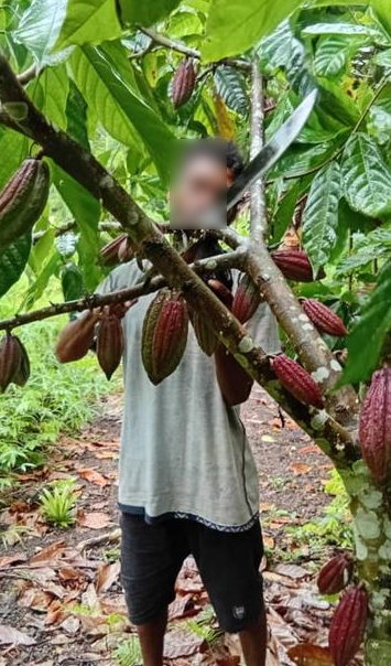 Newly Established Agriculture Consulting Company Seeking Loan in Alotau, Papua New Guinea
