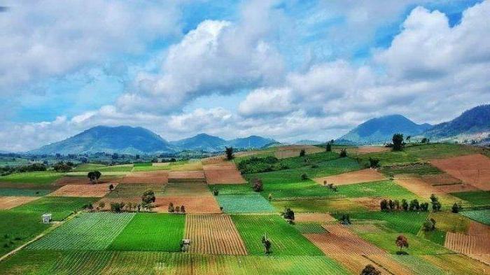 Newly Established Vegetable Farm Investment Opportunity in Manado, Indonesia