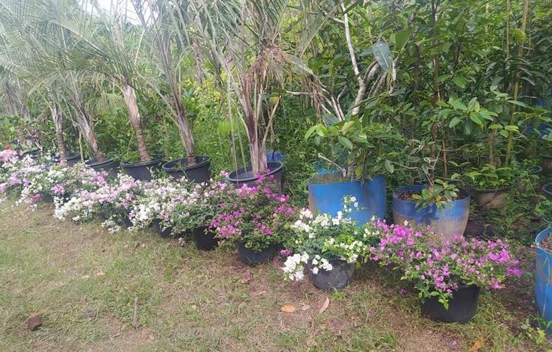 Garden Nursery for Sale in Bandaragama, Sri Lanka
