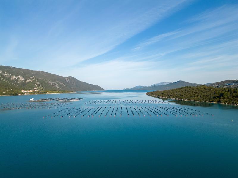 Aquaculture Business for Sale in Duba Stonska, Croatia