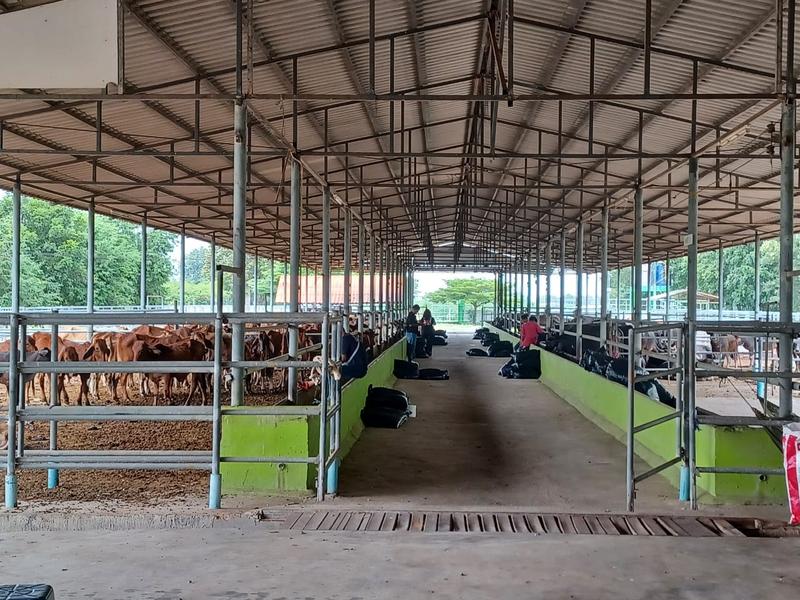 Profitable Agriculture Wholesale Company Investment Opportunity in Huai Krachao, Thailand