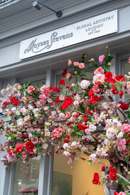 Moyses Stevens Flowers Trading Co. L.L.C Sales Partner Opportunity