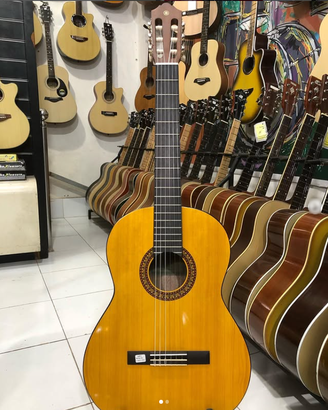 Profitable Musical Instrument Retailer Seeking Loan in Selong, Indonesia