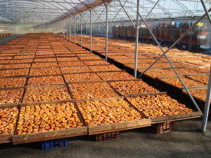 Profitable Dried Fruit Processing Company for Sale in Edessa, Greece