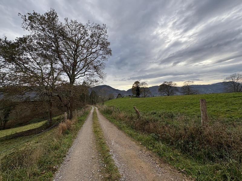 Dairy Farms Business for Sale in Oviedo, Spain