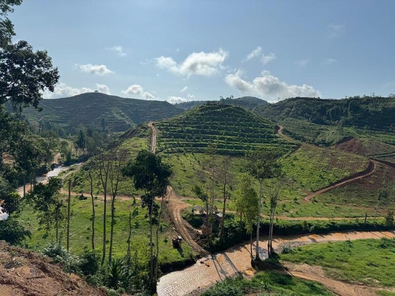 Vegetable Farm Investment Opportunity in Gua Musang, Malaysia