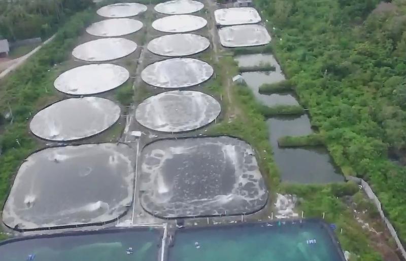 Aquaculture Business for Sale in Pandeglang, Indonesia