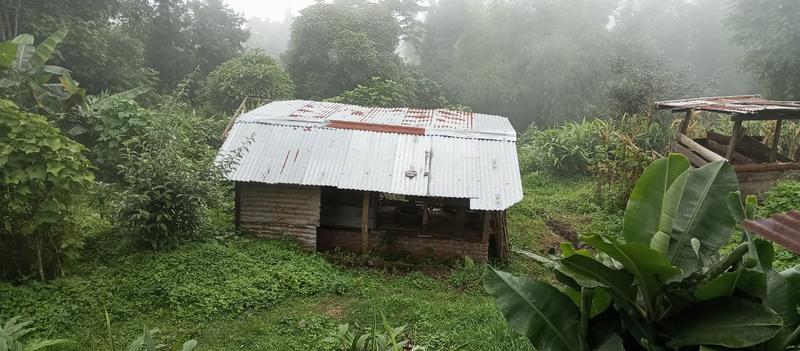 Newly Established Animal Breeding Business Seeking Loan in Kalimpong, India
