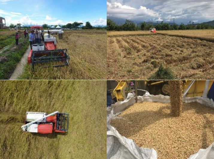 Grain Farms Business Seeking Loan in Seremban, Malaysia