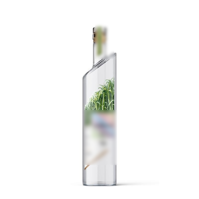 Distillery Investment Opportunity in Pernem, India