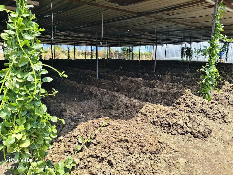 Profitable Fertilizer Company Equity Stake For Sale in Nashik, India