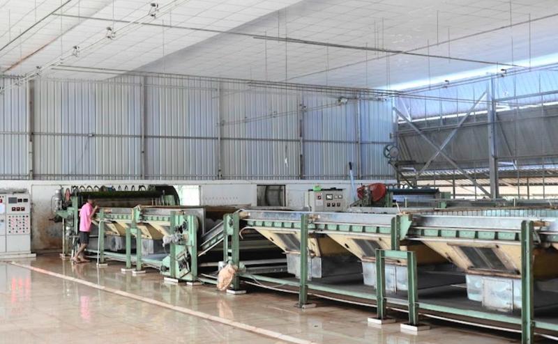 Coffee and Tea Business Equity Stake For Sale in Karbi Anglong Diphu Nala, India