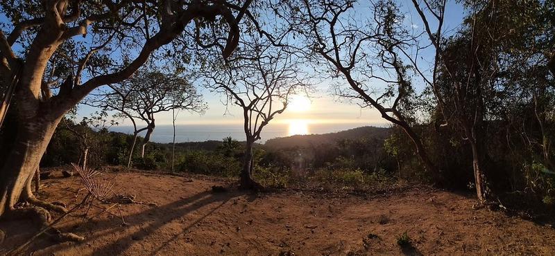 Orchard for Sale in San Pancho, Mexico