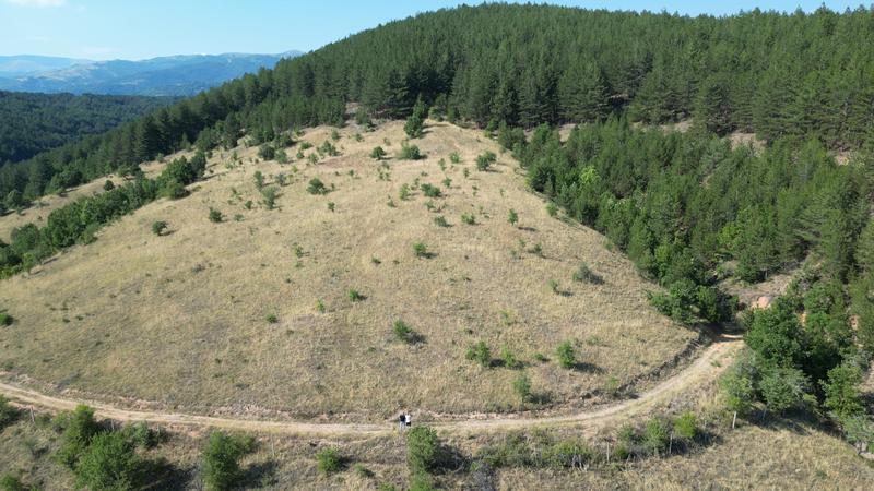Newly Established Solar Power Plant for Sale in Makedonska Kamenica, North Macedonia