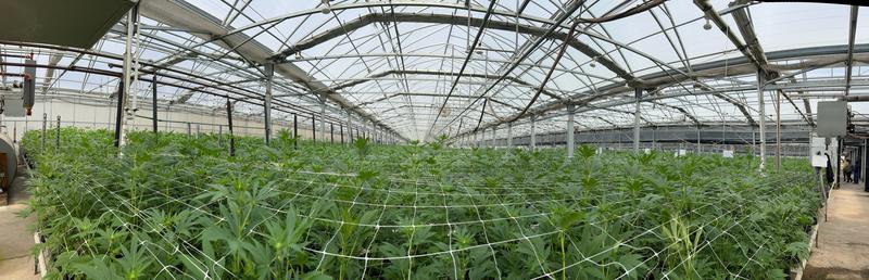 Newly Established Agriculture Consulting Company Seeking Loan in New York City, USA