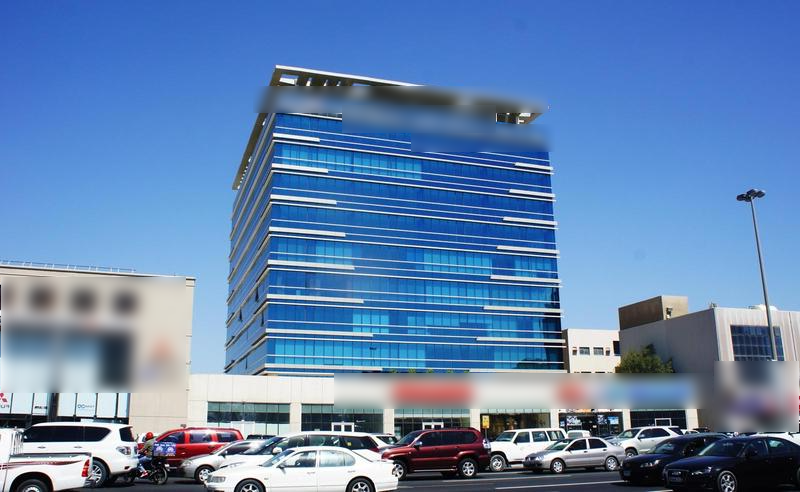 Newly Established Professional Services Company Seeking Loan in Dubai, UAE