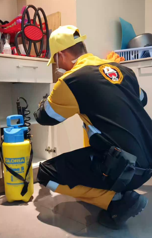 Terminator Pest Control Franchise Opportunity