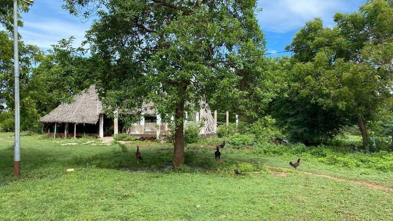 Poultry Business for Sale in Sivaganga, India
