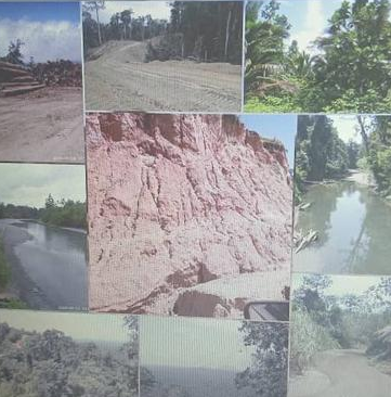 Newly Established Tree Farm Investment Opportunity in Vanimo, Papua New Guinea