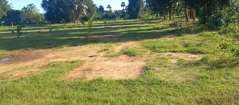 Newly Established Residential Real Estate Construction Company Seeking Loan in Yellamanchili, India