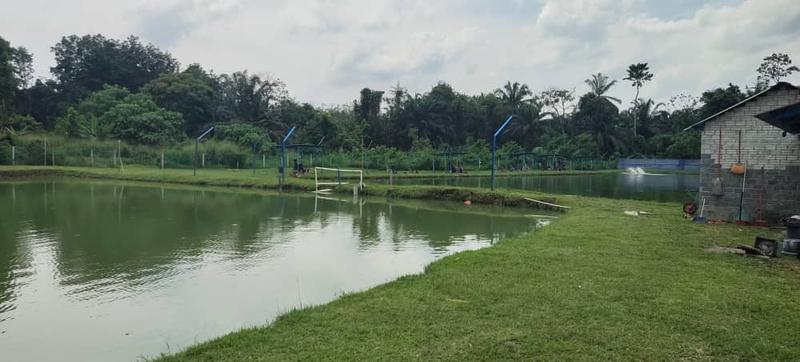 Fishing Business for Sale in Semenyih, Malaysia
