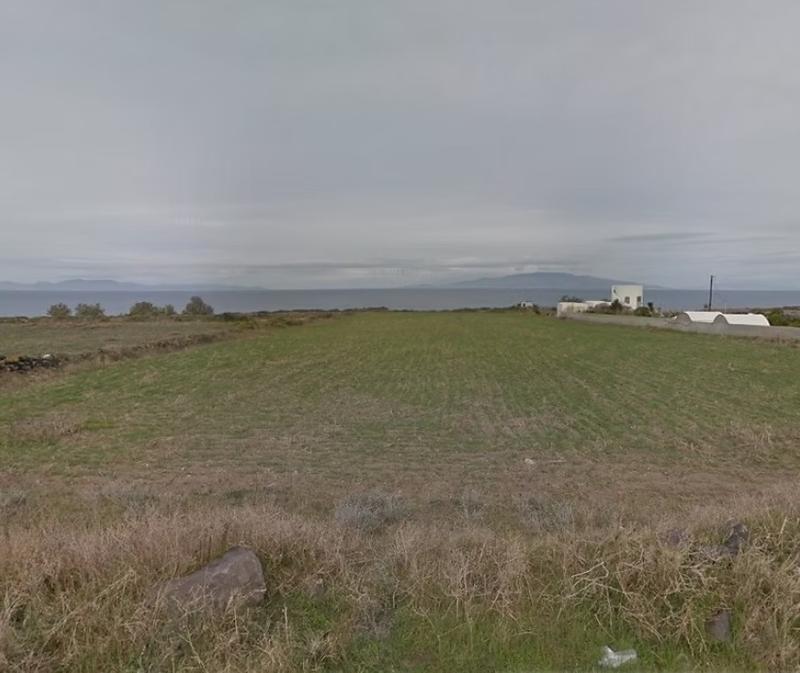 Newly Established Dairy Farms Business Equity Stake For Sale in Savar, Bangladesh