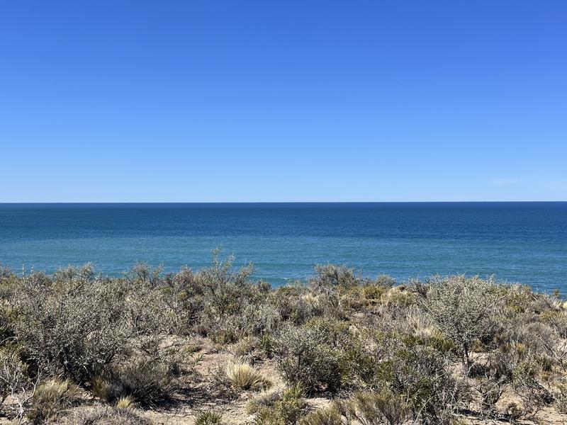 Land Developers Company Equity Stake For Sale in Comodoro Rivadavia, Argentina