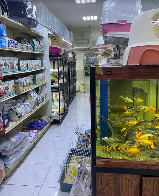 Pet Shop for Sale in Ras Al-Khaimah, UAE