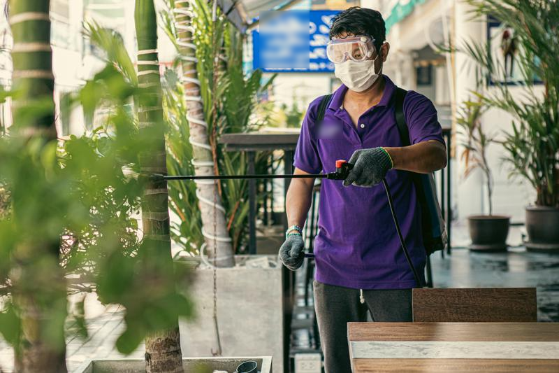 Pest Control Company Seeking Loan in Phuket, Thailand