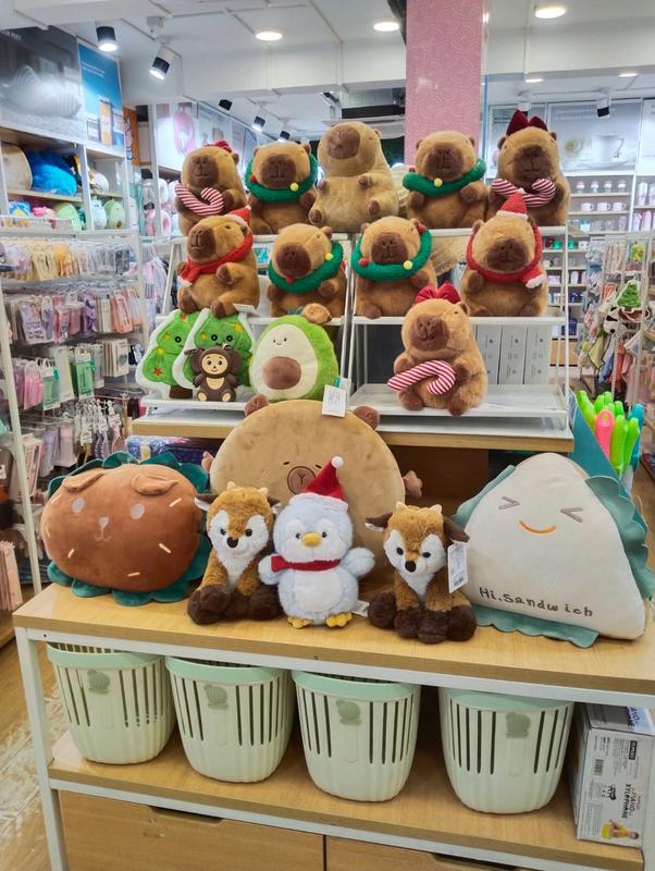 Mumuso Retail Pvt Ltd Franchise Opportunity