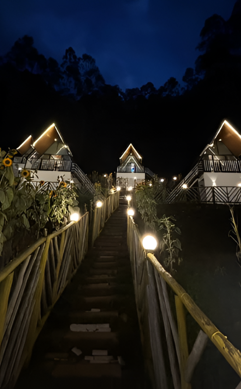 Bed & Breakfast for Sale in Munnar, India