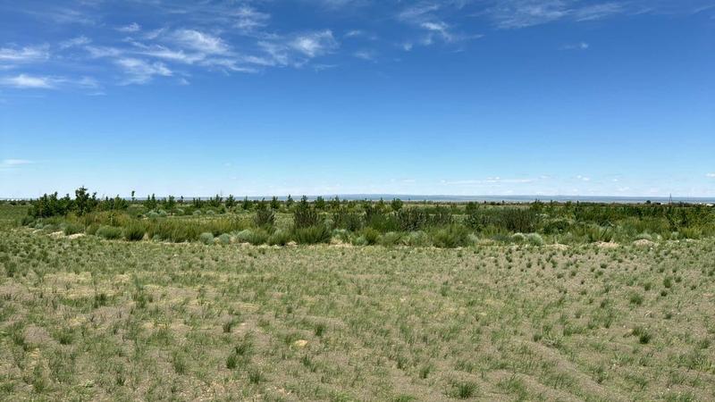 Newly Established Campground Equity Stake For Sale in Dalanzadgad, Mongolia