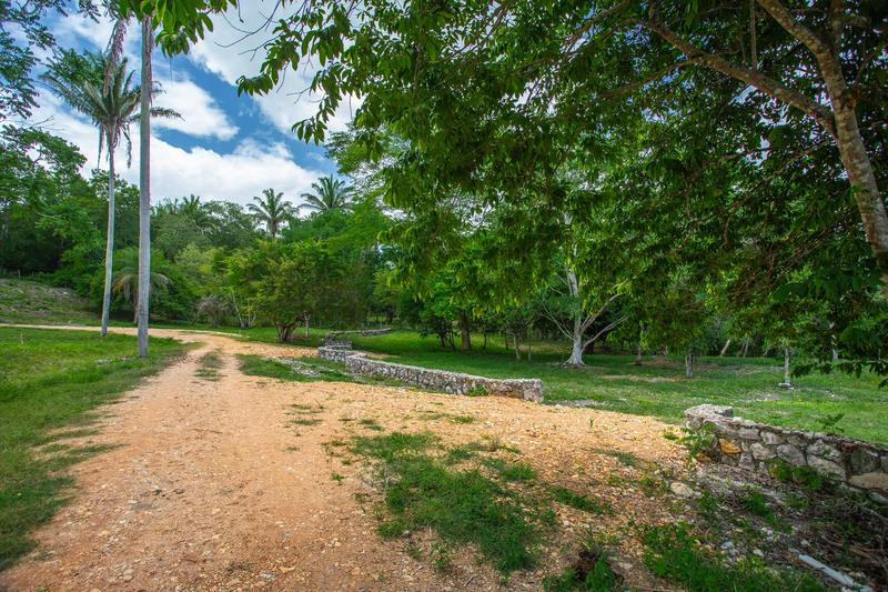 Commercial Land Assets for Sale in Cayo District, Belize