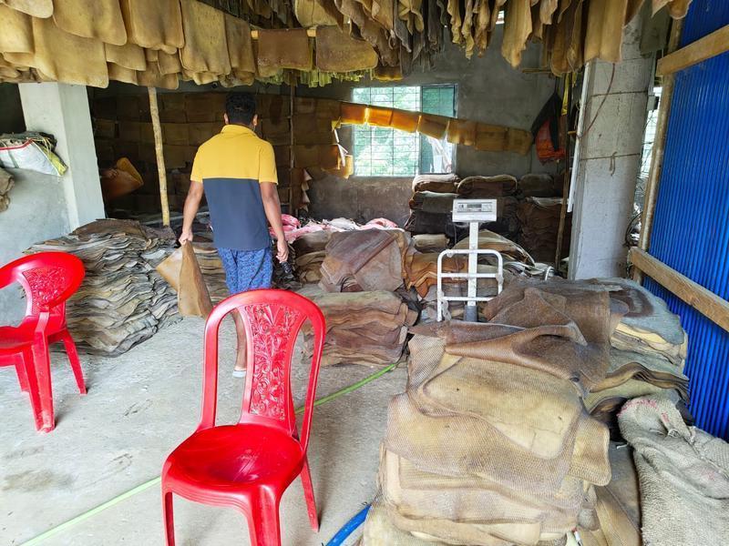 Newly Established Rubber Product Wholesale Company Seeking Loan in Agartala, India