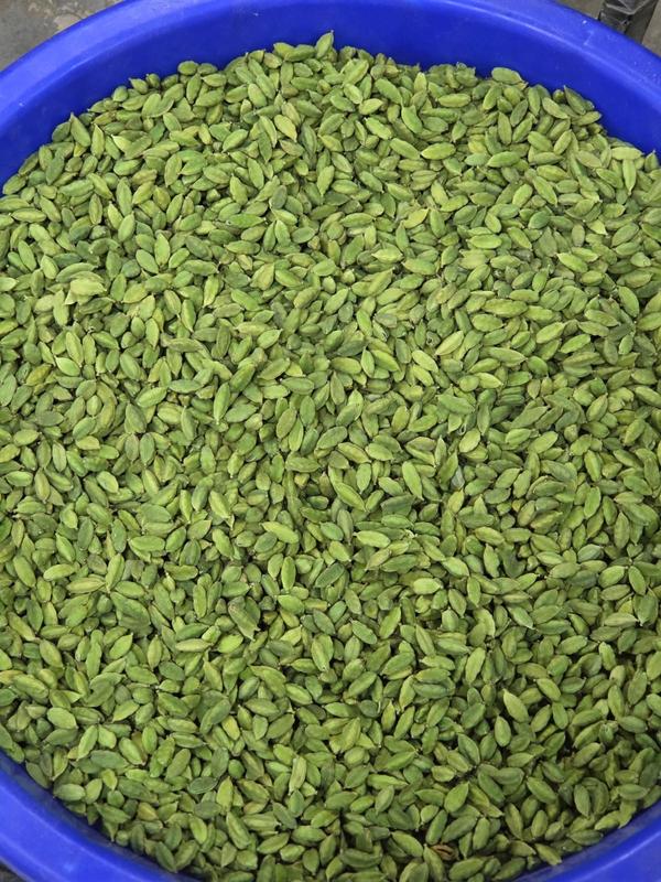 Food Wholesale Company Equity Stake For Sale in Dubai, UAE