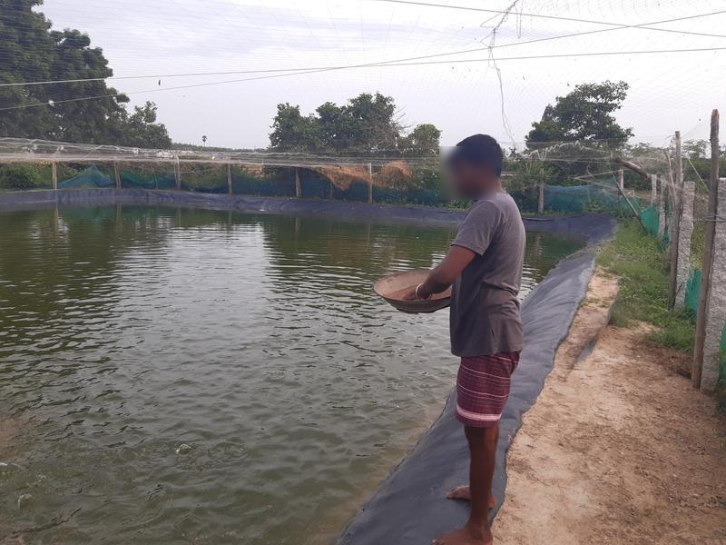 Aquaculture Business Seeking Loan in Chennai, India